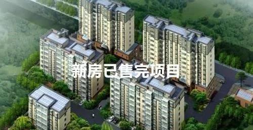 购房指南 揭秘中介套路与楼盘代理风险