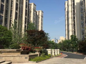 碧桂园嘉誉楼盘详情与专家推荐